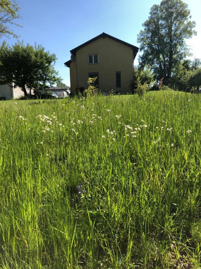 Seeblick Apartments Muehlau エクステリア 写真